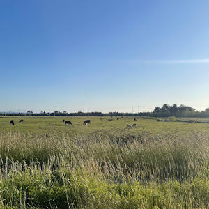 Meet your Posher, Skylar